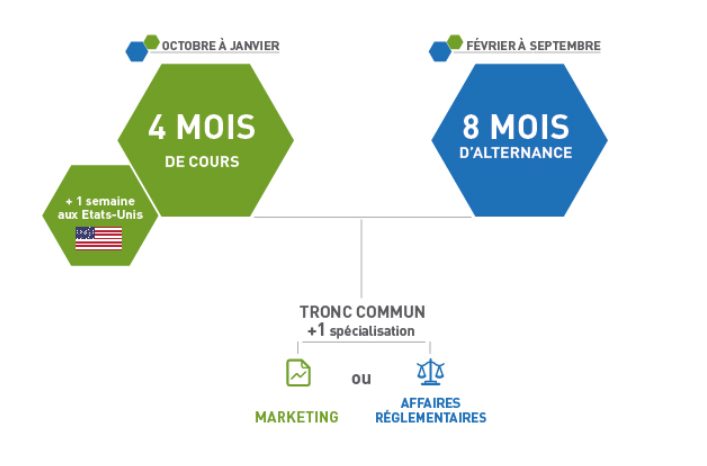 programme-imis
