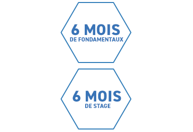 IMIS_SLOGAN_MARQUE_WEB_VISUEL_SITE_385X264_NOV_2025.png